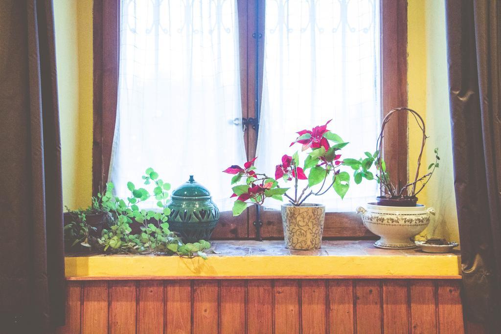 Casa Etxalde Guest House Camprodon Ngoại thất bức ảnh